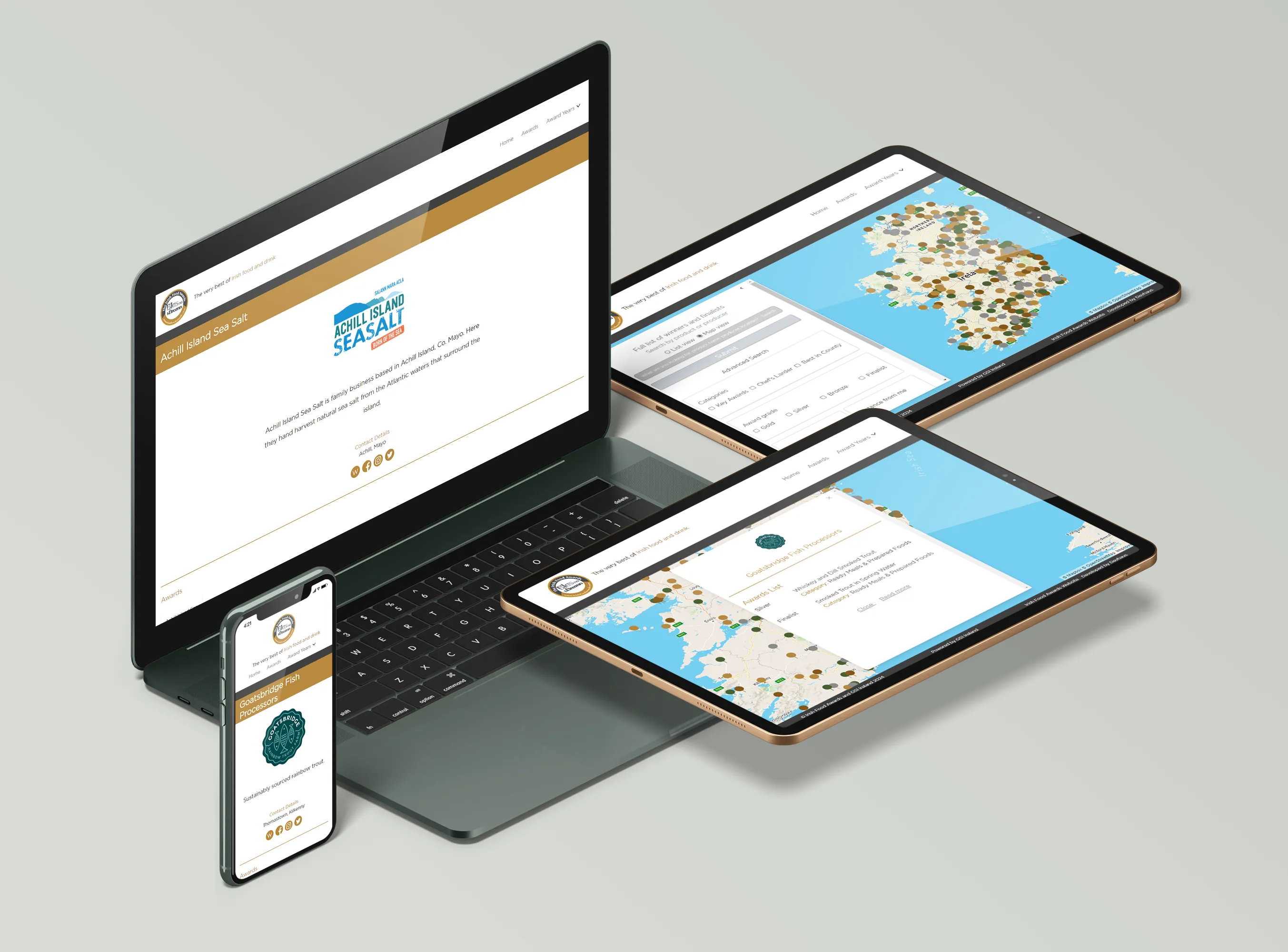 Various devices showing different screenshots of the Blas na hEireann website.