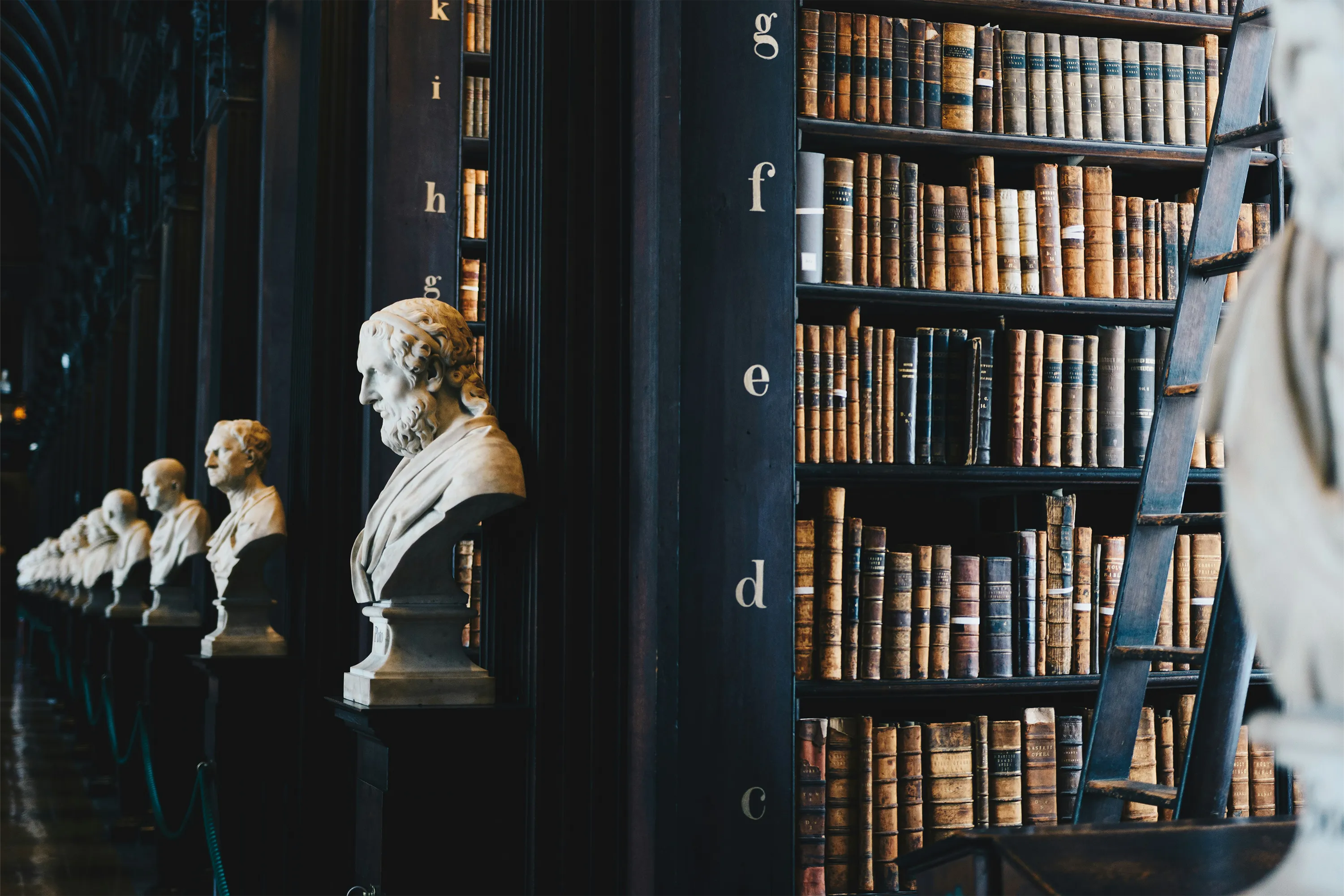 Old library books on shelves with marble busts on plinths at the end of each row