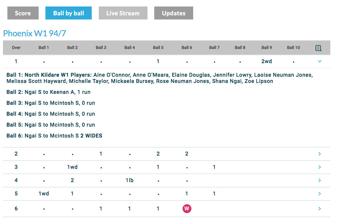 Cricket Leinster live match ball by ball feature