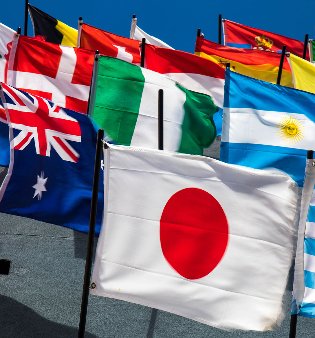 Multilingual Training flags